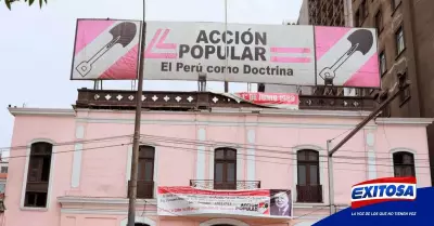 accion-popular-pedro-castillo-congreso-elecciones-Exitosa