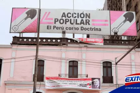 accion-popular-pedro-castillo-congreso-elecciones-Exitosa