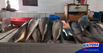 Exitosa-Comerciantes-suben-precios-de-pescado