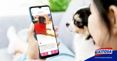 animales-mascotas-apps-telfono-tecnolgic