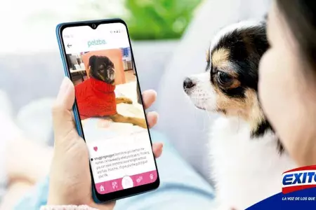 animales-mascotas-apps-teléfono-tecnológic