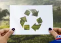 Día del Reciclaje: 4 Acciones sencillas que pueden aplicar las empresas para cuidar el planeta
