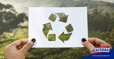 dia-reciclaje-acciones-exitosa-