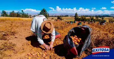 peru-crisis-alimentaria-exitosa-noticias