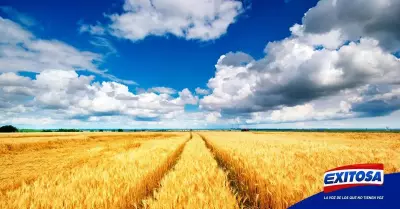 rusia-ucrania-cereales-exitosa-noticias