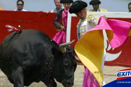 México-juez-suspensión-temporal-corridas-de-toros-Exitosa