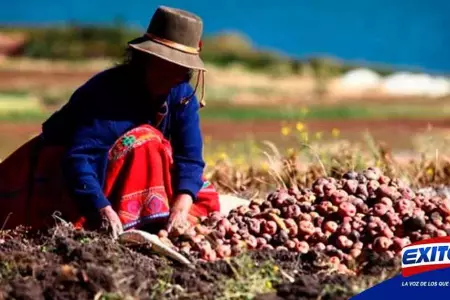 Midagri-Perú-no-debería-verse-afectado-seriamente-por-crisis-alimentaria-Exitosa