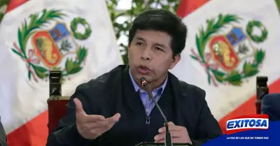 Pedro-Castillo-fondos-AFP-Exitosa