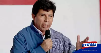 Pedro-Castillo-presidente-cabecilla-mafia-MTC-Exitosa