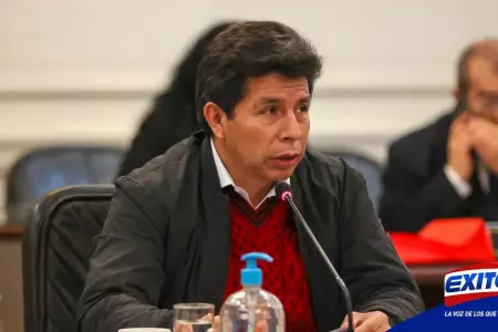 Pedro-Castillo-Comision-de-Fiscalizacion-Exitosa