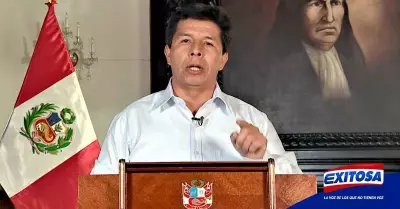 Pedro-Castillo-presidente-Per-Fiscal-investigacin-Exitosa
