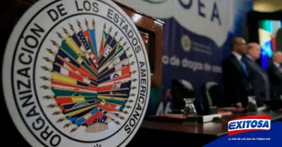 OEA-gobierno-inters-nacional-exitosa-noticias