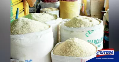 arroz-fertilizantes-exitosa