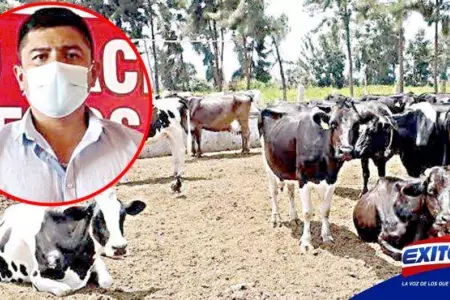 Preocupación-por-sector-lechero-que-deberá-sacrificar-vacas