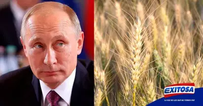 Estados-Unidos-Putin-trigo-Ucrania-guerra-Exitosa