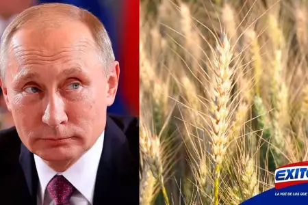 Estados-Unidos-Putin-trigo-Ucrania-guerra-Exitosa
