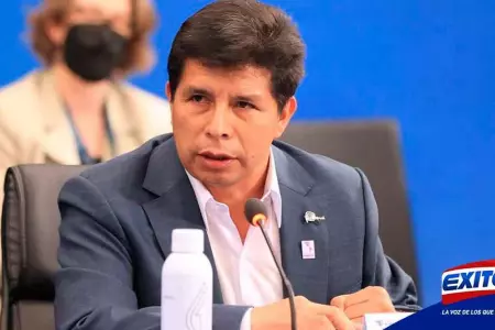 Pedro-Castillo-tutela-de-derecho-defensa-presidente-fiscal-Exitosa