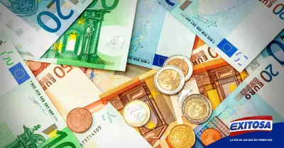 euro-precio-falvy-exitosa