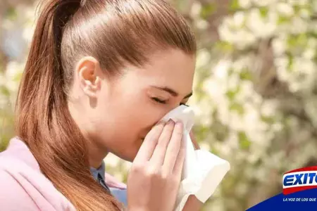alergias-estacionales-estornudos-comezon-crisis-asmatica-Exitosa