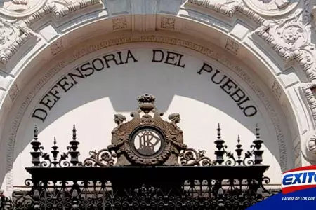 Defensoria-del-Pueblo-hijo-Pedro-Castillo-presidente-escrutinio-publico-Exitosa