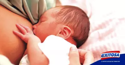 lactancia-materna-bebes-exitosa