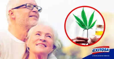 cannabis-medicinal-en-adultos-mayores-Exitosa