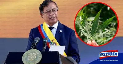 Colombia-presidente-Gustavo-Petro-legalizacion-marihuana-Exitosa