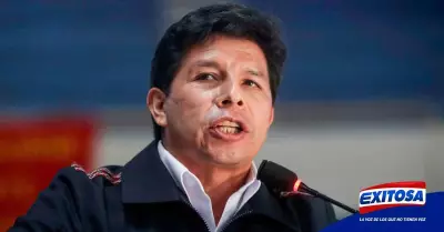 Pedro-Castillo-corrupcion-familia-presidente-Yenifer-Paredes-Exitosa