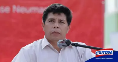 Pedro-Castillo-presidente-Estado-necesidades-Fuerzas-Armadas-Exitosa