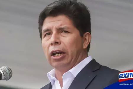 Castillo-Peru-presidente-congresistas-exitosa