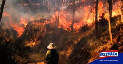 Huaral-Incendio-forestal-Lima-Exitosa