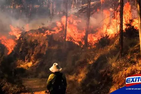 Huaral-Incendio-forestal-Lima-Exitosa