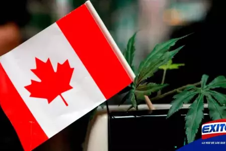 Canada-cannabis-normativa-revision-Exitosa