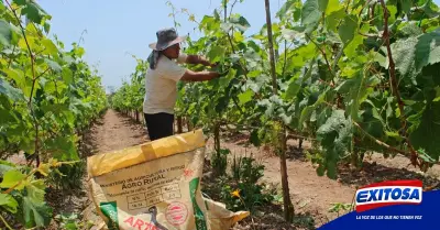 Ejecutivo-creacion-de-planta-nacional-de-urea-Exitosa