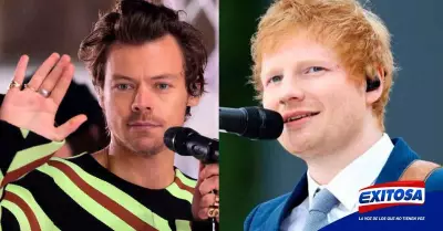 Harry-Styles-Ed-Sheeran-Ucrania-celebridades-OMS-Exitosa