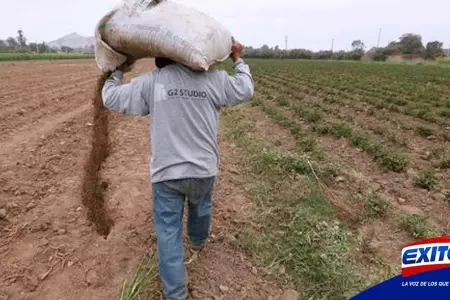 Exitosa-Noticias-Fertiabono-Economia-Agricultores