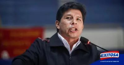 pedro-castillo-presidente-subcomision-denuncia-constitucional-exitosa