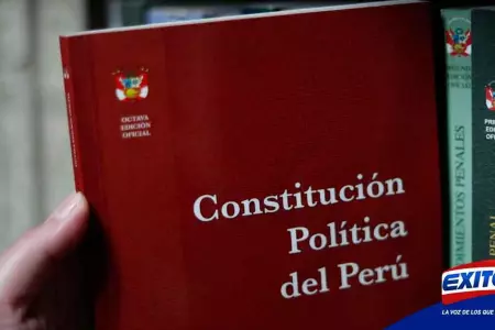 Articulo-117-Constitucion-Politica-del-Peru-Carlos-Jaico-Exitosa