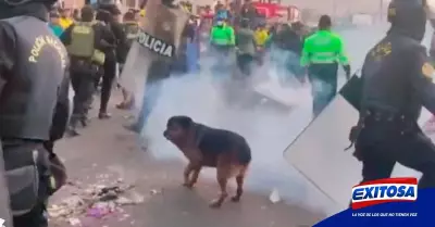 San-Luis-PNP-bombas-lacrimogenas-Mercado-de-Frutas-estibadores-Exitosa