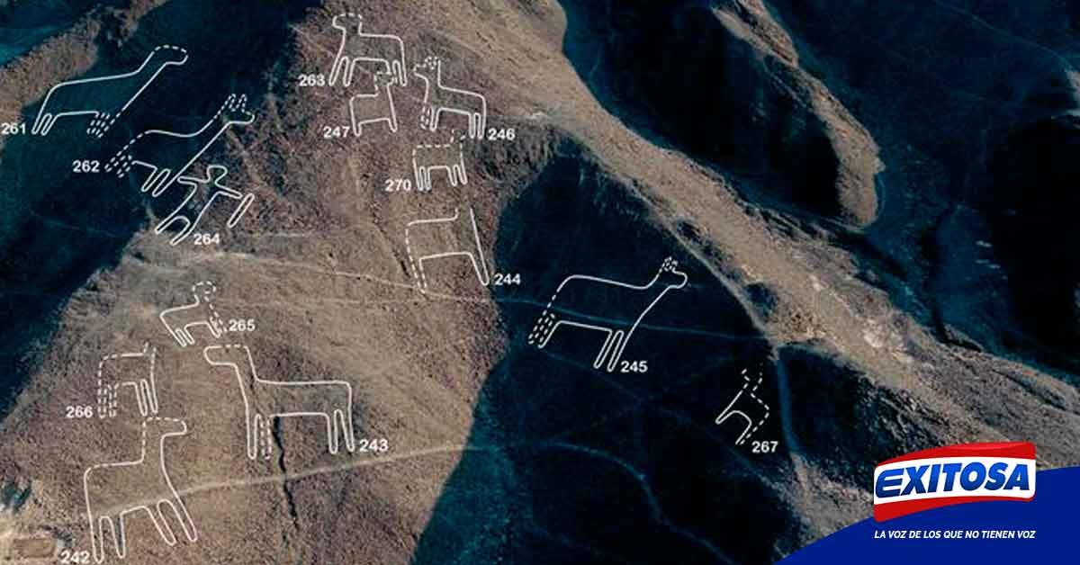 Nuevos 168 Geoglifos En Las Líneas De Nazca Que Asombra A ...