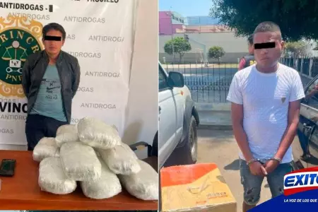 Delincuentes-enviaron-39-kilos-de-marihuana-por-encomienda