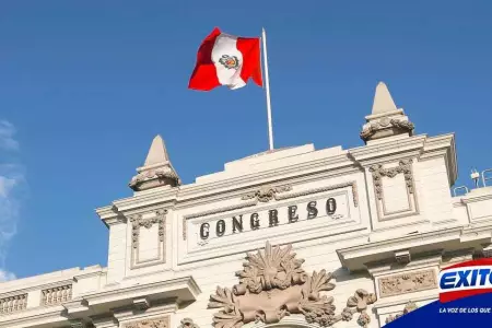 Comision-de-Constitucion-Congreso-Despacho-Presidencial-Jose-Williams-Dina-Bolua