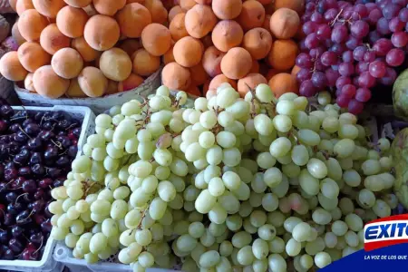 Exitosa-vari?an-precios-de-uvas-en-mercados-de-Chimbote