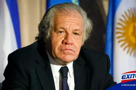 Luis-Almagro-OEA-Exitosa