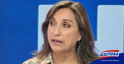 Dina-Boluarte-Gobierno-Pedro-Castillo-protestas-presidenta-Exitosa