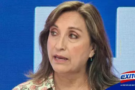 Dina-Boluarte-Gobierno-Pedro-Castillo-protestas-presidenta-Exitosa