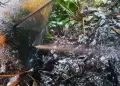 Amazonas: OEFA supervisa derrame de petróleo en el Oleoducto Norperuano