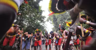 Polica inicia investigacin por "genocidio" de indios yanomamis en Brasil