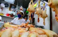 Arequipa: Producción de pollos y huevo se redujo en 15% por falta de alimento para aves