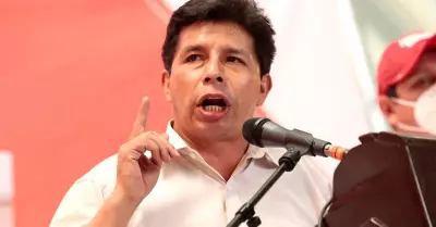 Expresidente de la Repblica, Pedro Castillo.